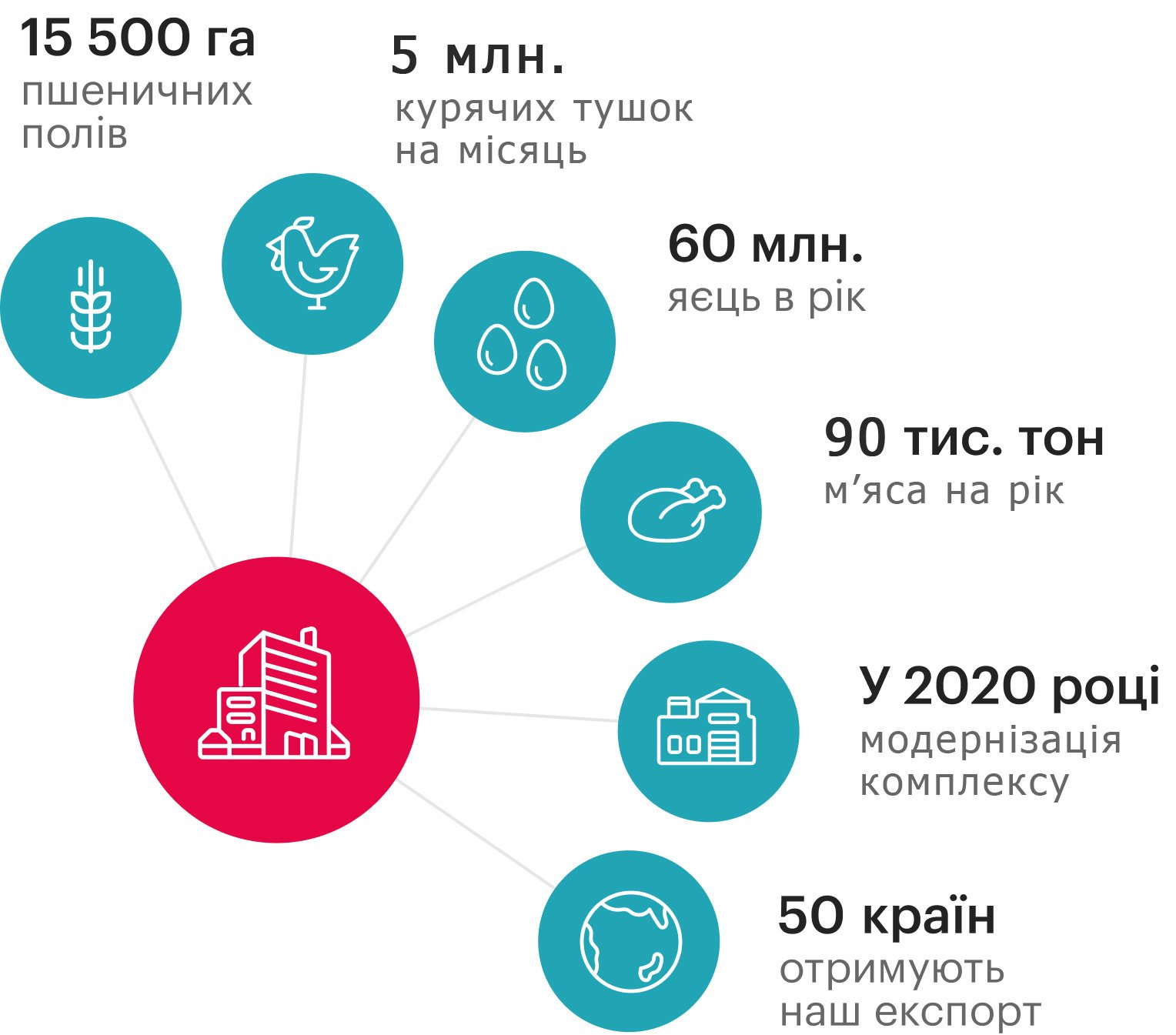 Птахокомплекс «Дніпровський»