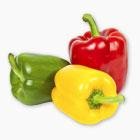 Болгарський перець