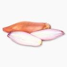 Цибуля шалот