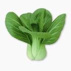 Капуста Пак Чой