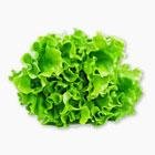 Листя салату