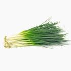 Зелена цибуля