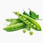 Зелений горошок